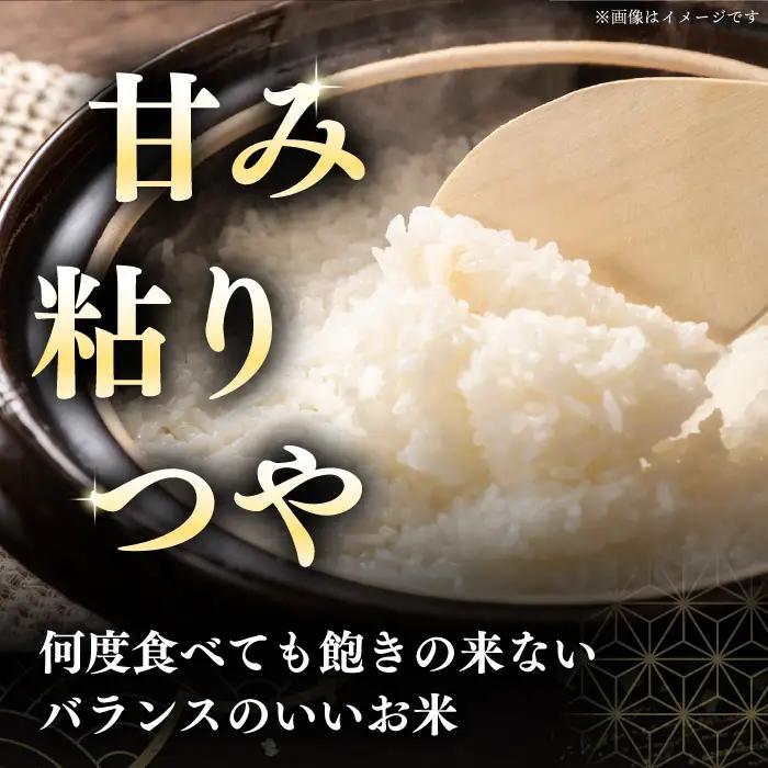 令和7年産 令和8年産 【全12回定期便】【無洗米】さくら米（ななつぼし）10kg 1年 12ヵ月 お米 無洗米 白米 北海道 [AXAB013]