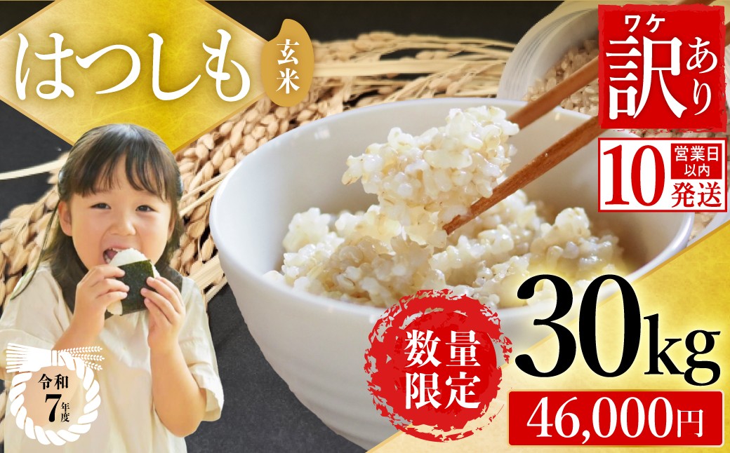 
                  【訳あり】【今だけ寄付額改定！在庫なくなり次第終了】【岐阜県代表品種】令和7年産ハツシモ米 【玄米】30kg 寄付額改定 数量限定 期間限定 L6
                