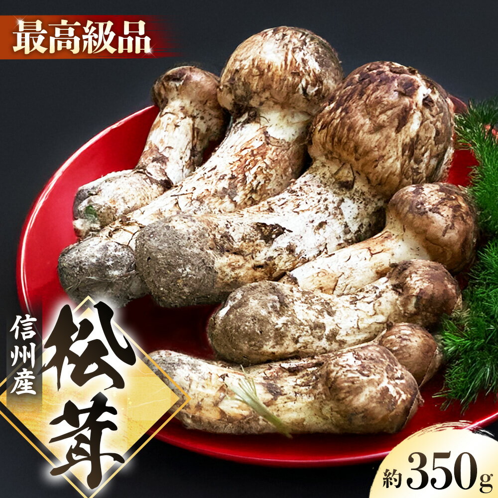 【ふるさと納税】＜先行受付中＞秋の味覚の王様「松茸」350g以上