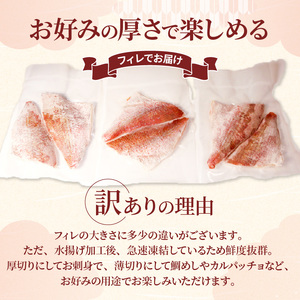 真鯛 刺身 600g 訳アリ 真鯛