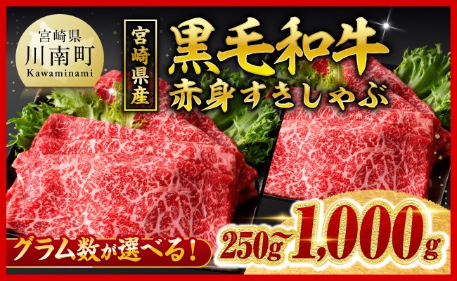 
                  ※発送月（最速便含む）・内容量が選べる※ 宮崎県産黒毛和牛赤身すきしゃぶ250g～1000g 【 数量限定 牛肉 牛 肉 すき焼き すきやき しゃぶしゃぶ スライス 】
                