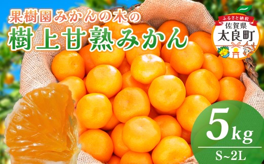 N22x1 果樹園みかんの木の樹上甘熟みかん 5kg みかん ミカン 蜜柑 温州みかん 完熟みかん 甘熟 国産 佐賀県産 太良町 こだわり 贈答品 産地直送 詰め合わせ 【2026年11月下旬-2027年1月下旬発送予定】