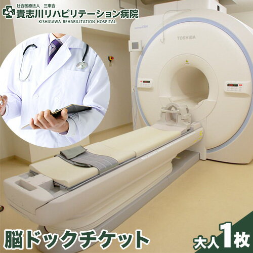 【ふるさと納税】脳ドックチケット 大人1枚　社会医療法人三車会貴志川リハビリテーション病院《30日以内に出荷予定(土日祝除く)》和歌山県 紀の川市 レターパック配送 対面受け取り