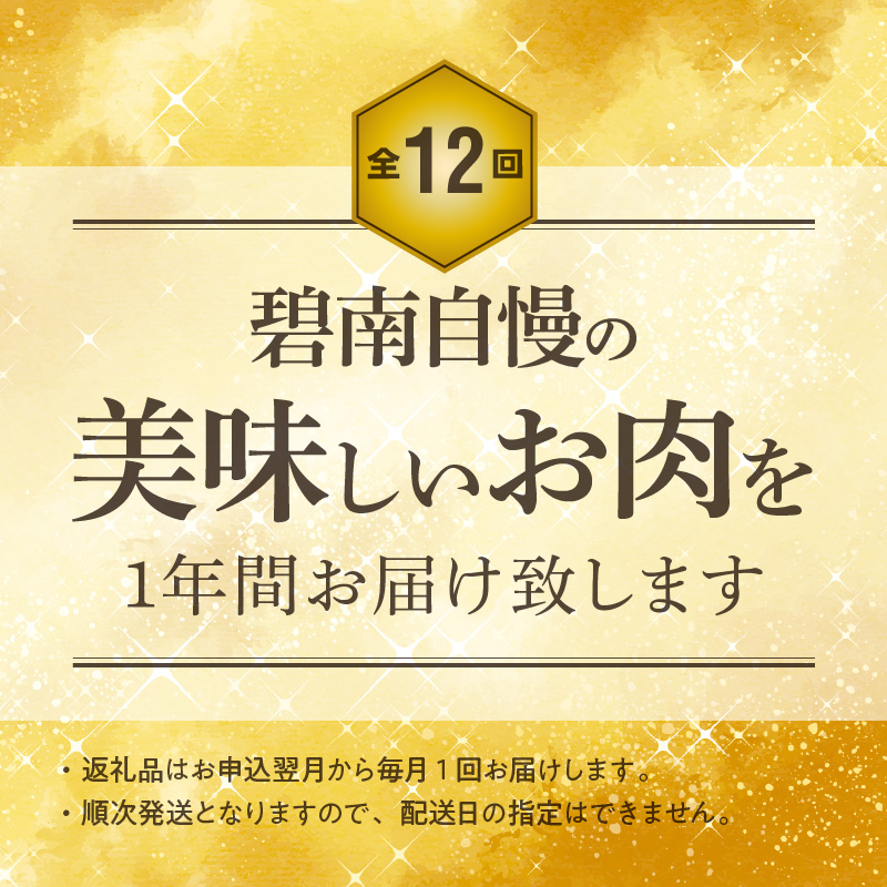 【全12回】厳選！お肉づくめの定期便　H028-081