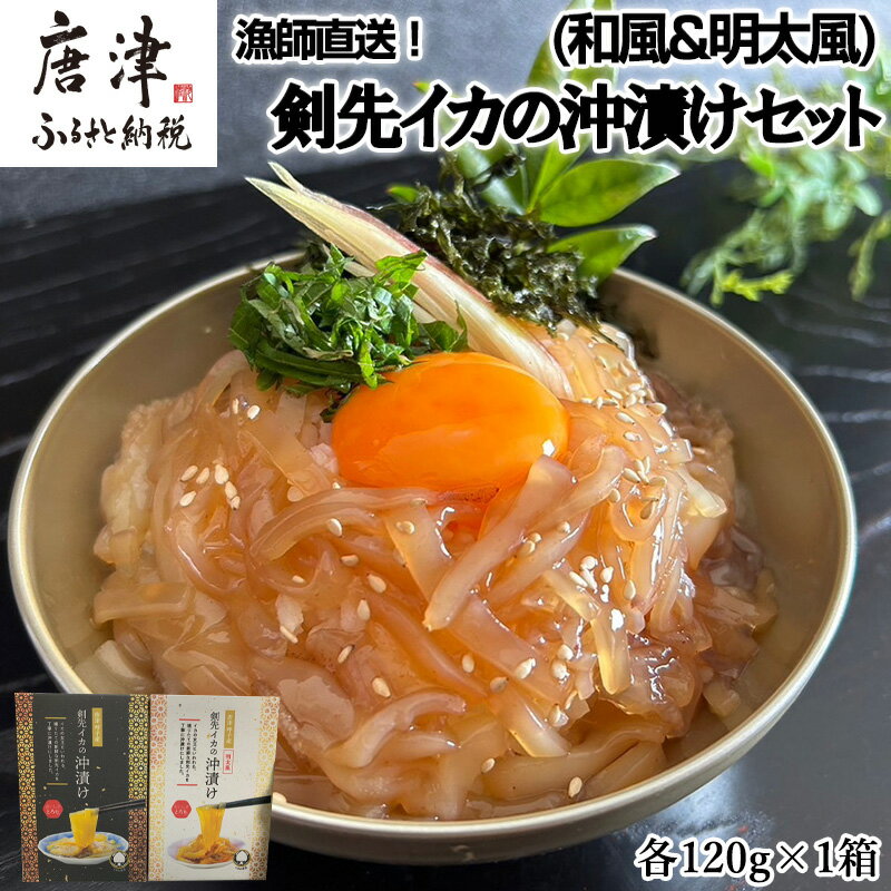 【ふるさと納税】『先行予約』【令和8年7月上旬より順次発送】新鮮！漁師直送！剣先イカの沖漬け(和風&明太風)セット 各120g×1箱 漁師飯 肴 おつまみ ご飯のお供 ギフト