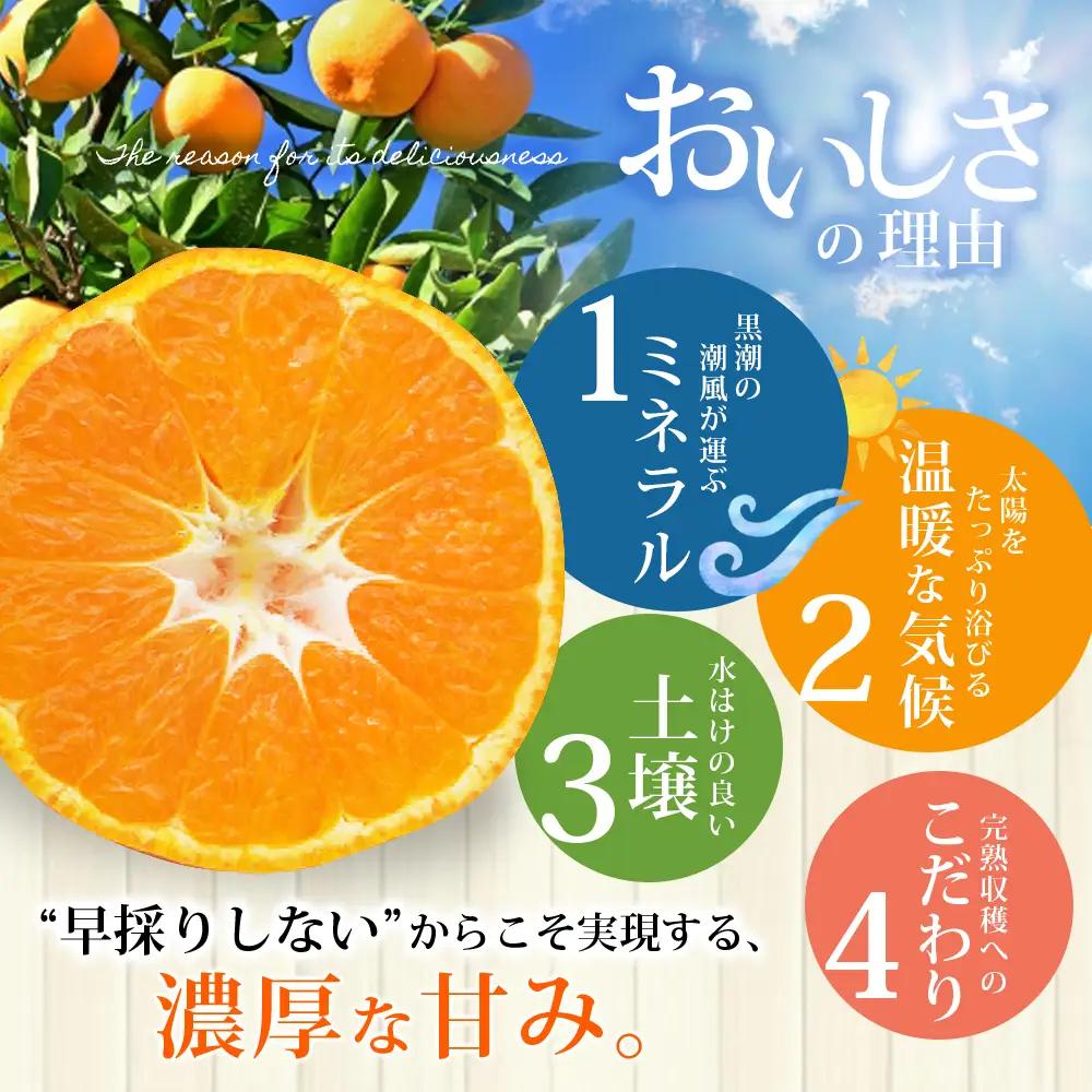 みかん 完熟 熊野みかん 7kg【nkmr0006A】