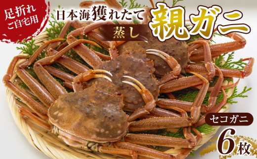 123.【蒸し】訳あり 足折れ ご自宅用 日本海獲れたて親ガニ（セコガニ）6枚 ※2026年11月上旬～12月下旬頃に順次発送予定【家庭用 松葉ガニ 松葉蟹 蟹 かに 甲殻類 ズワイガニ 鳥取県 北栄