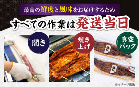 国産活うなぎ3尾（蒲焼）[AQDF008] 鰻 鰻 鰻 鰻 鰻 鰻 鰻