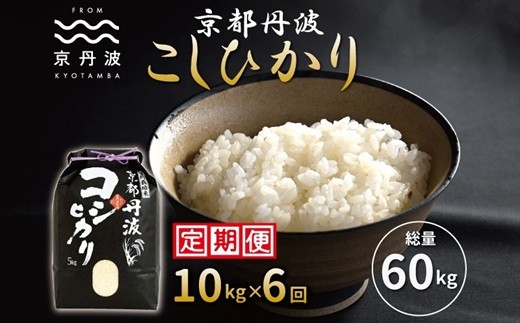 【6カ月定期便】≪先行予約≫ 京丹波こしひかり 10kg×6カ月連続 合計60kg 令和8年産 京都 米 精米 コシヒカリ ※北海道・沖縄は配送不可 [090MB003R]