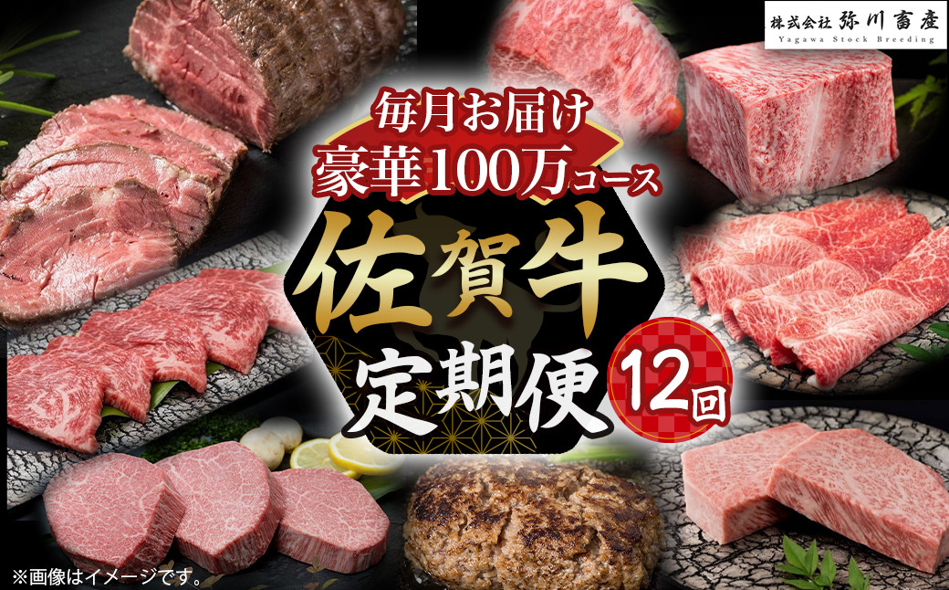 
                  ZAF1 佐賀牛 毎月 豪華12回便 100万コース 定期便 12回 12ヶ月 しゃぶしゃぶ ロースステーキ ローストビーフ カルビ焼肉 ハンバーグ 赤身焼肉 ヒレステーキ ロースブロック モモブロック すき焼き ロース ステーキ カルビ 焼肉 赤身 焼肉 モモ ブロック 国産牛 和牛 牛肉 肉 高級 人気 おすすめ 佐賀県 太良町 
                