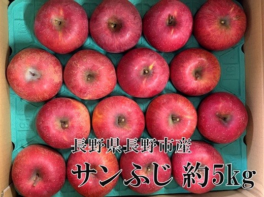 
                  長野市産サンふじ 約5kg(13～16玉)【2026年12月上旬頃発送予定】OKABE fruits J0938
                