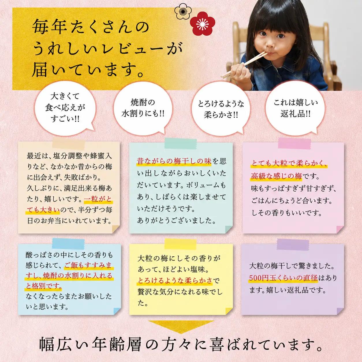 梅干し 紀州南高しそ梅干し 1kg 大粒 ご家庭用【inm210C】