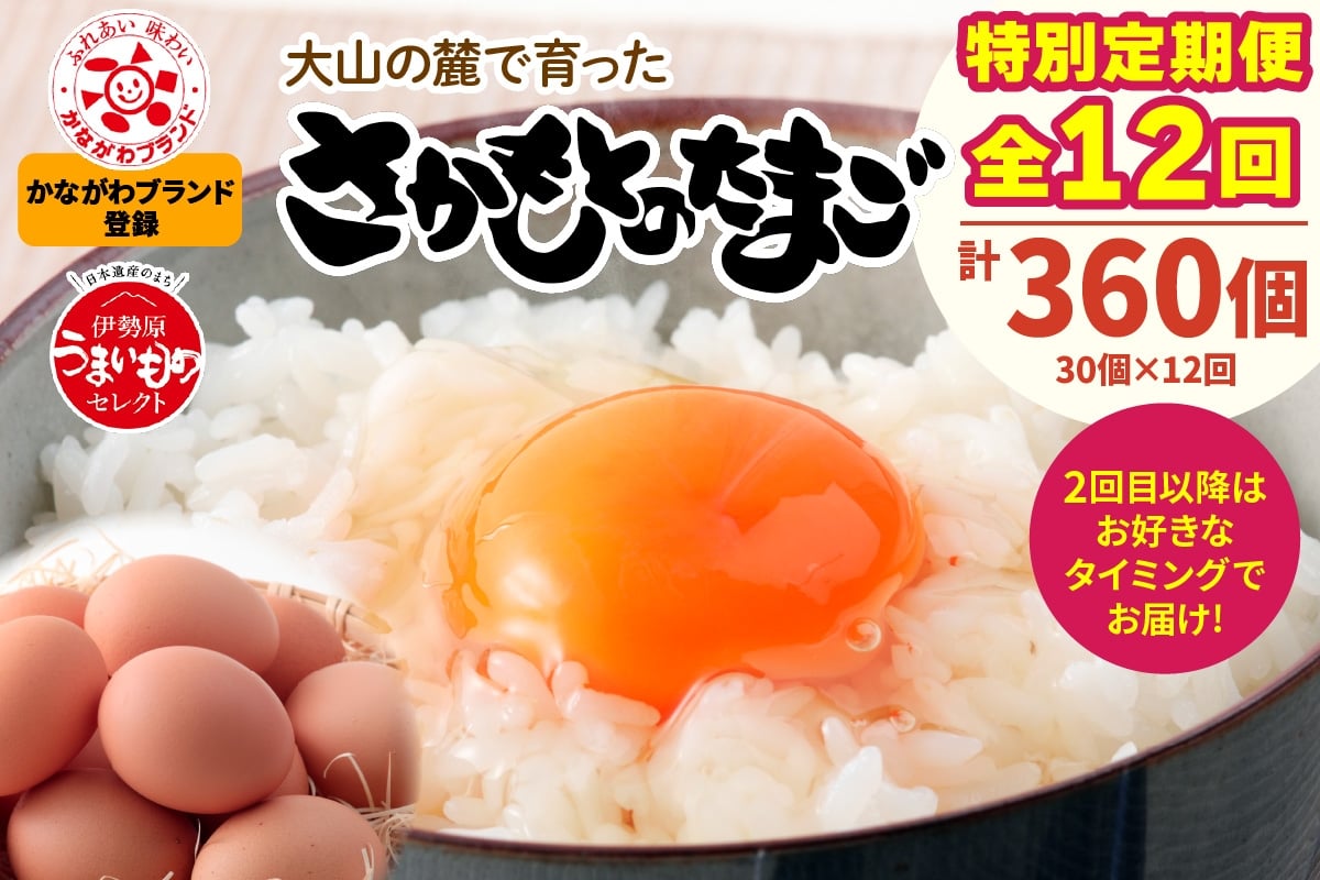 
            [特別定期便全12回] たまご 2回目以降はお好きなタイミングでお届け！ 坂本養鶏 大山の麓で育ったさかもとのたまご 合計360個 (30個×12回)｜伊勢原市 赤玉卵 玉子 鶏卵 生卵 国産 TKG タマゴ 新鮮 大山 鶏 ギフト 安心 安全 親子丼 卵焼き 目玉焼き お菓子 [0398b]
          
