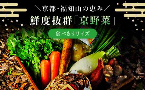 ＜鮮度抜群「京野菜」 食べきりサイズ詰合せ＞ ふるさと納税 京野菜 野菜 旬 新鮮 鮮度 自然栽培 自然農法 おいしい おばんざい 食べきり 詰合せ お取り寄せ 京都府 福知山市 FCCM002