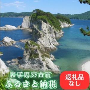 【返礼品なし】岩手県宮古市への寄附(10,000円)