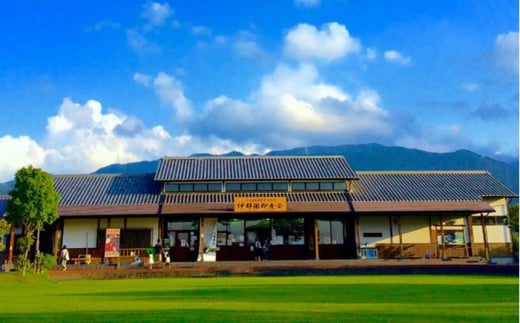 【 全12回 定期便 】 福岡県 糸島産 旬 の 野菜 盛り合わせ セット 《糸島》【株式会社フロンティア・アドバンス】[AWC009]