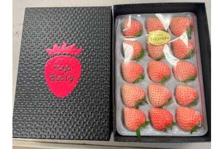 コットンベリー 化粧箱 ギフト用　20-058