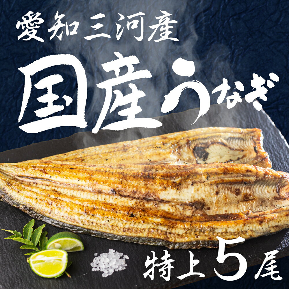 【ふるさと納税】愛知県三河産　うなぎ　白焼き 5尾　国産うなぎ 鰻 タレ付 セット 厳選 ウナギ かば焼き 丑の日 高級 贅沢 ご褒美 特産品 ふっくら お取り寄せ うな重 うな丼 ひつまぶし 冷凍 誕生日 お祝い 内祝い お中元 お歳暮 愛知県 豊橋市