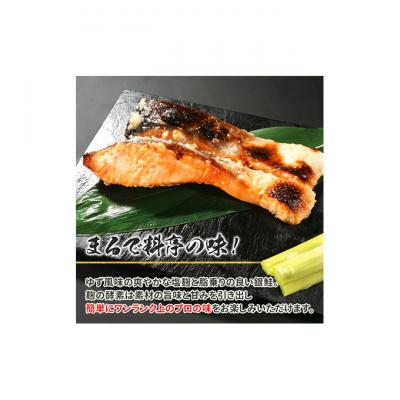 ふるさと納税 新潟市 銀鮭塩麹漬け 10切 新潟 [54070422] |  | 01
