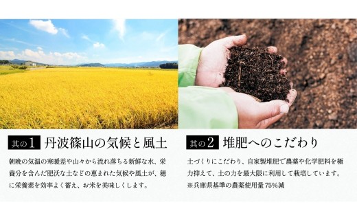 【定期便・新米8年産】特Aランク 特別栽培米 コシヒカリ　5kg（全3回） 兵庫県 丹波篠山市 白米 100％単一原料米 産地直送米 おいしい お米 精米 コシヒカリ ブランド おこめ 健康 送料無料