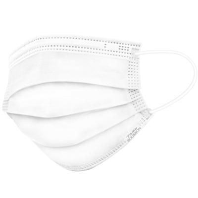 ふるさと納税 柏崎市 ブルボン 不織布マスク100枚(50枚/箱×2箱)[ZB359] |  | 01