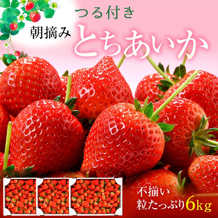 【訳あり】とちあいか 不揃い粒 2kg×3箱 計6kg（家庭用,ジャム・冷凍など加工用にもおすすめ） 果物 いちご 朝取り 新鮮 美味しい ハート 甘い ※2026年5月中旬～5月下旬頃に順次発送予定