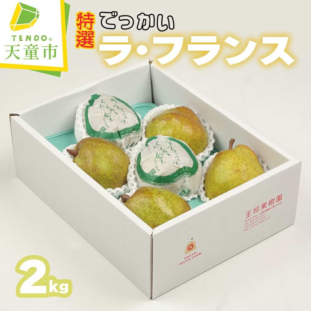 【ふるさと納税】 特選 でっかい ラ・フランス 2kg ラフランス 洋梨 果物 フルーツ 秀 厳選 5玉 〜 6玉 化粧紙包装 のし 贈答 ギフト プレゼント おすそ分け お取り寄せ 旬 秋 冬 期間限定 送料無料 先行予約 【 山形県 天童市 】