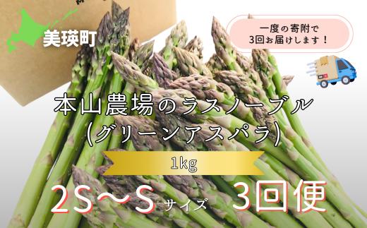 
                  【令和9年産先行予約】幻のアスパラ 2S～Sサイズ 1kg 3回便 ラスノーブル 令和9年産 北海道 美瑛町 本山農場 グリーンアスパラ | グリーン アスパラガス アスパラ あすぱら あすぱらがす 採れたて ギフト 贈答 新鮮 旬 産地直送 野菜[030-108]
                