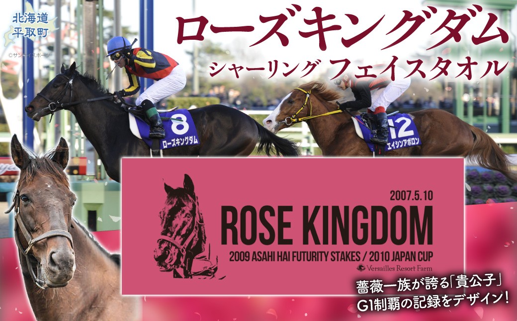 
                  【ローズキングダム】シャーリングフェイスタオル 【ふるさと納税 人気 おすすめ ランキング 馬 競馬 競走馬 引退馬 ローズキングダム タオル シャーリングタオル 生活用品 日高 北海道 平取町 びらとり 送料無料】 BRTV254
                