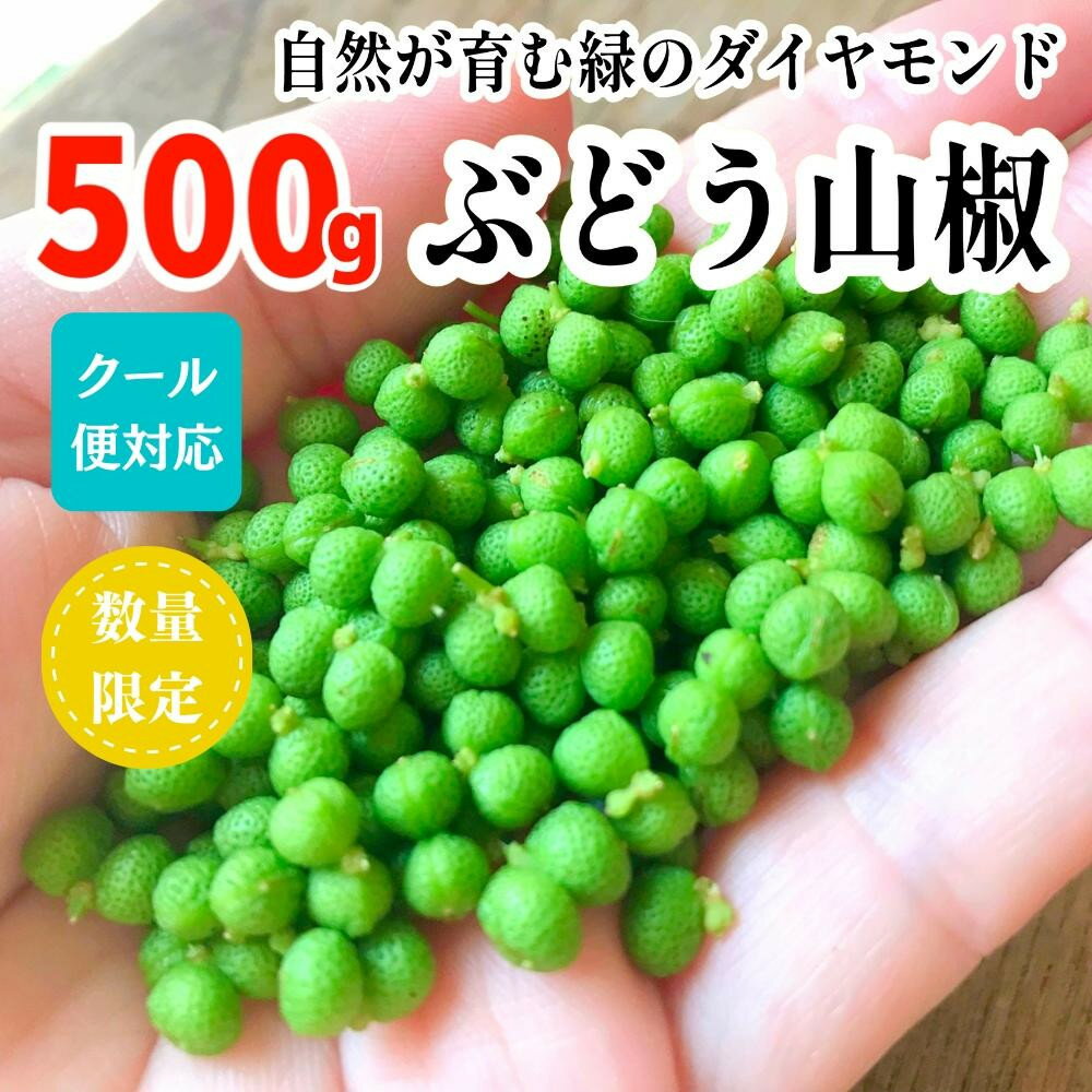 【ふるさと納税】【選べる容量】［5月下旬出荷予定］ぶどう山椒 500gまたは1kg（500g×2箱） 実山椒 生山椒 クール便対応 和歌山県産 | 有田川町 実山椒 生山椒 人気 おすすめ 和食 山椒 スパイス 薬味 佃煮 漬物 魚料理 肉料理 お取り寄せ 送料無料 ふるさと納税
