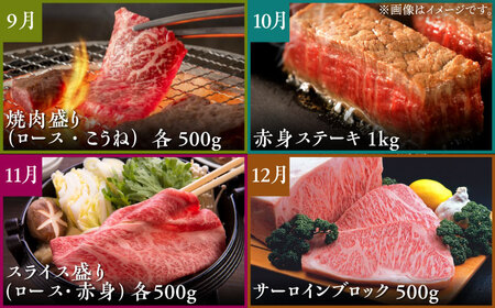 【全12回定期便】佐賀牛 プレミアムコース（4人前） HCS121 佐賀牛
