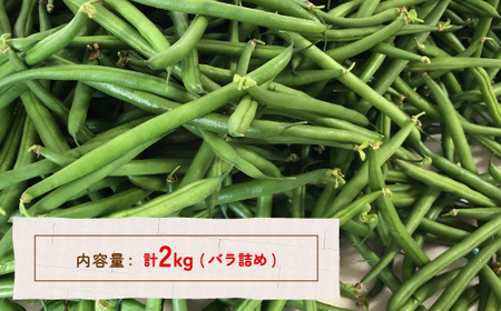 【2026.7月以降順次出荷】さやいんげん 2kg バラ詰め サイズ混合 北海道 豊浦町