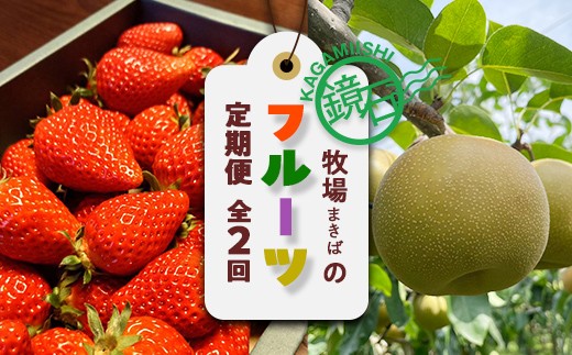 
            【2026年から発送開始】鏡石町 まきばのフルーツ定期便（いちご 約1kg・和梨 約5kg） イチゴ 苺 ナシ なし 福島県 鏡石町 F6Q-418
          