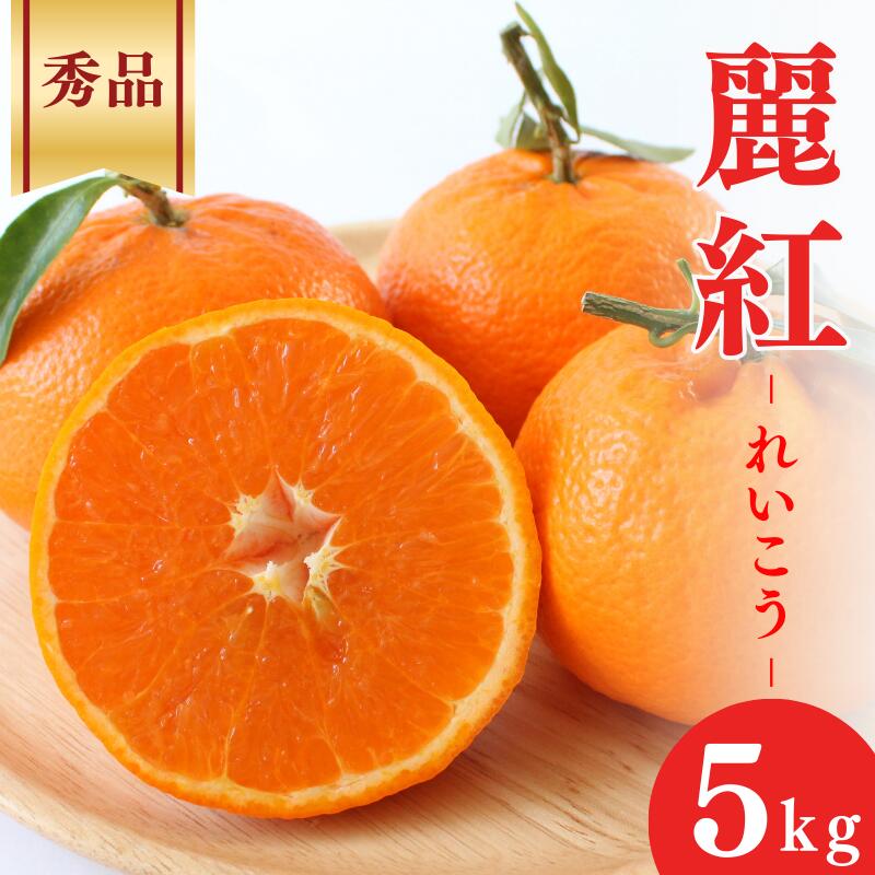 【ふるさと納税】 ＜先行予約＞麗紅【秀品】5kg ※2026年2月下旬～3月中旬頃に順次発送予定【期間限定・数量限定】 / 柑橘 季節限定 お取り寄せ 産地直送 贈答品 ギフト 果物 フルーツ 田辺市 和歌山県