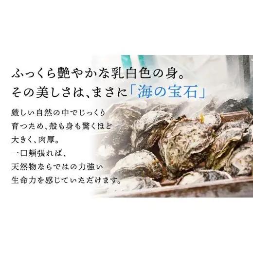 生食可 天然岩牡蠣 5個 瀬戸内産  《ナイフ・軍手付き》 