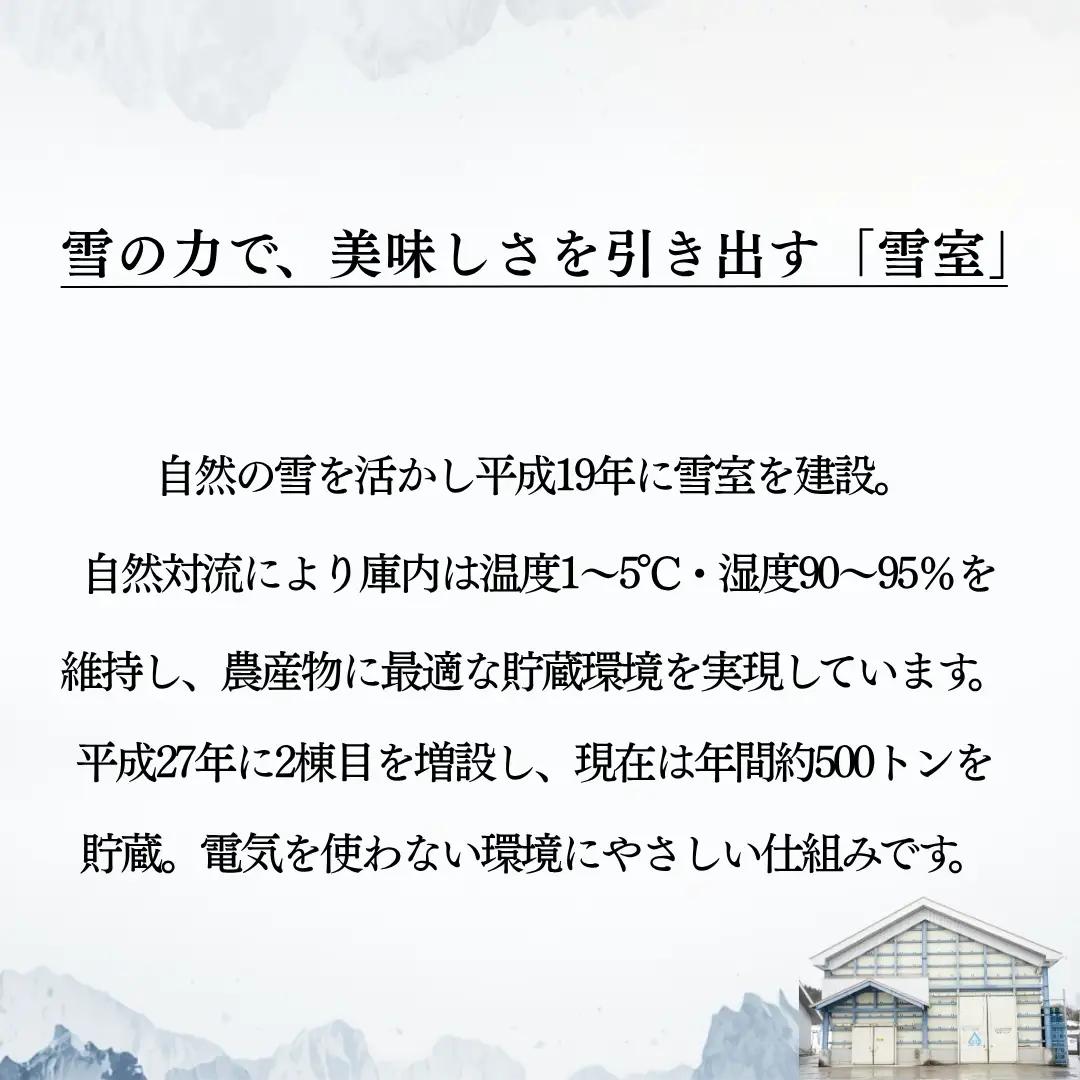 枝豆 高原茶豆 2kg（200g×10袋）雪室予冷 | 津南町
