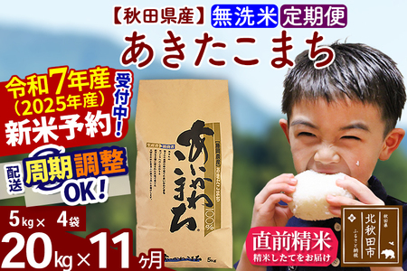 ※令和7年産※《定期便11ヶ月》秋田県産 あきたこまち 20kg【無洗米】(5kg小分け袋) 2025年産 お届け時期選べる お届け周期調整可能 隔月に調整OK お米 藤岡農産