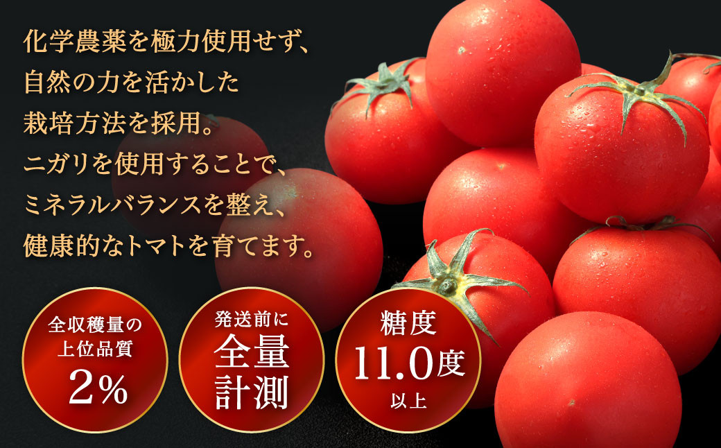 三ッ星トマト プレミアム 約1kg （10～20玉）