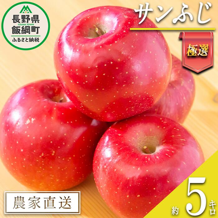 【ふるさと納税】 りんご サンふじ 極選 5kg マルハ農園 令和7年度収穫分 エコファーマー認定 長野県 飯綱町 〔 信州 果物 フルーツ リンゴ 林檎 長野 22000円 予約 農家直送 〕発送時期：2025年12月上旬〜2025年12月下旬