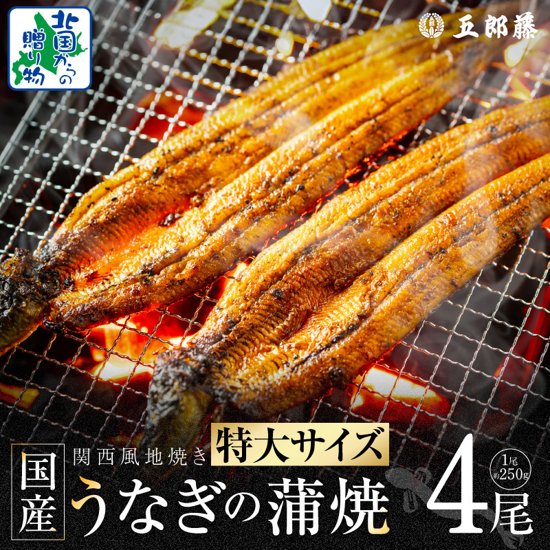 国産有頭旨鰻 250g×4尾 特大サイズ【関西風地焼き 老舗 五郎藤 うなぎ 1kg 小分け unagi ひつまぶし 簡単調理】 099H4344