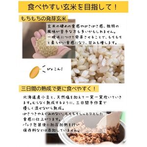 熟成3日 発芽玄米ご飯 パックご飯 6個(3パック×2セット) コシヒカリで作った酵素玄米【1497864】