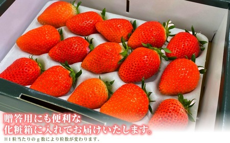 いちご やよいひめ 約400g いちご 【2027年1月~4月発送分】
