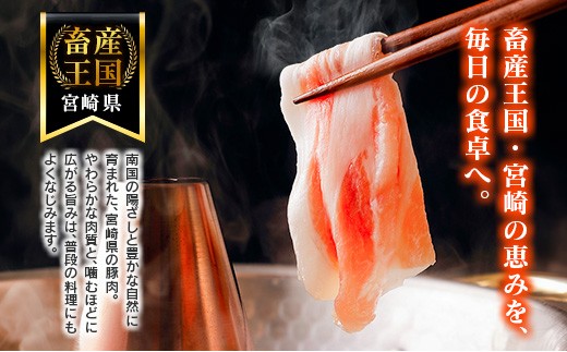 ＜2026年12月お届け＞宮崎県産 豚肉 バラエティセット 計3.5kg 食べ比べ 国産【B711-12】