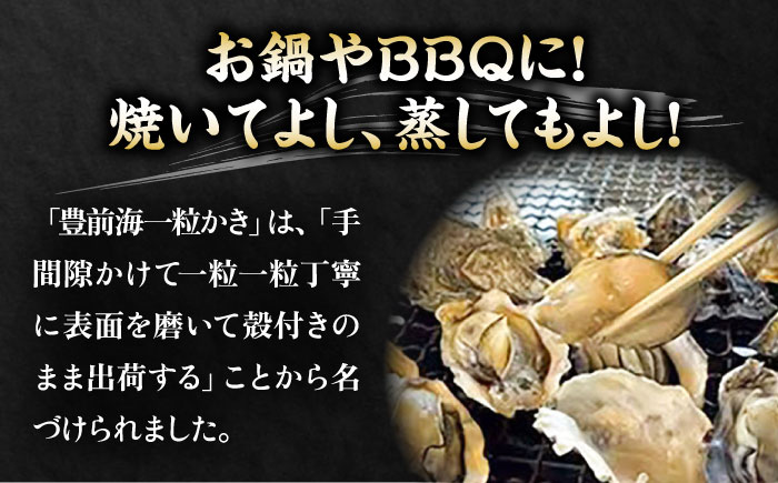 【先行予約】豊前海一粒かき 5kg  【2026年1月中旬以降順次発送】  《豊前市》【豊築漁業協同組合】 牡蠣 カキ かき 牡蛎 [VAG010]