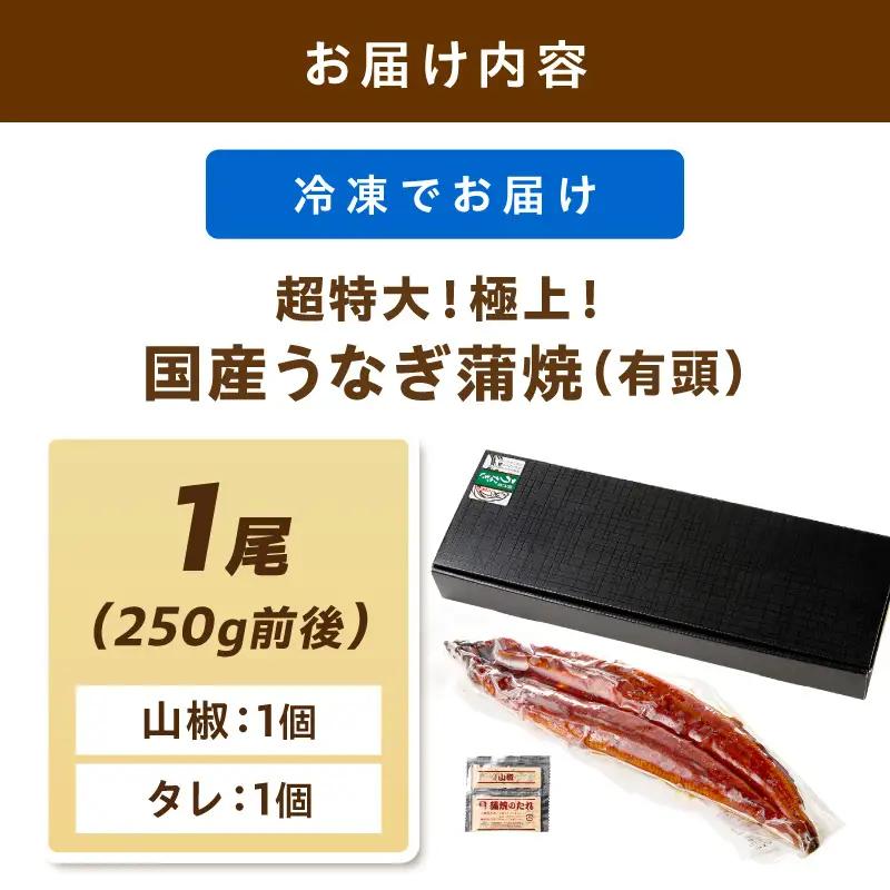 【国産鰻】うなぎ蒲焼き 1尾 250g前後 | うなぎ