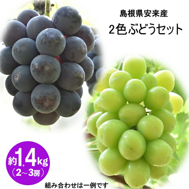 【ふるさと納税】2色詰め安来ぶどう詰合せ 約1.4kg ／【8月中旬～9月中旬発送】／ 2～3房 ピオーネ 巨峰 クインニーナ 安芸クイーン シャインマスカット 瀬戸ジャイアンツ 2種 お任せ 旬 詰め合わせ 先行 予約 冷蔵配送 フルーツ 島根県 安来市