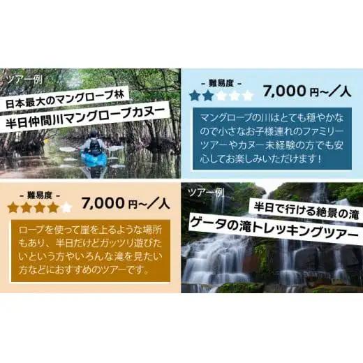 旅行券 沖縄 チケット 西表島 アクティビティ ツアーチケット 3,000円 旅行 旅行 体験 観光 