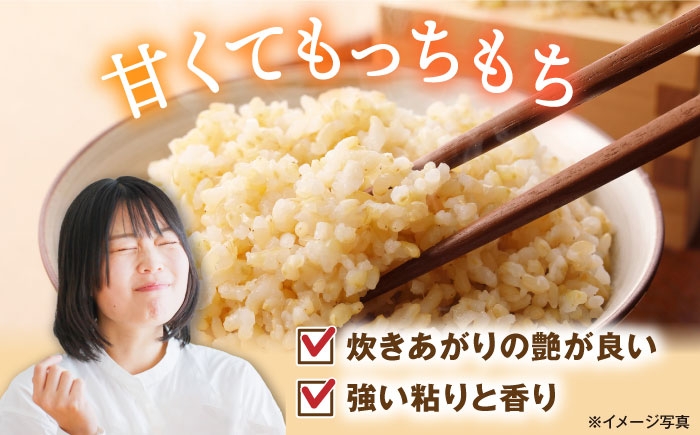  玄米 げんまい コシヒカリ こしひかり 米 5kg お米 ご飯 ごはん ゴハン 近江米 滋賀県産 長浜市産 こめ 玄米 