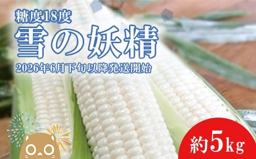 
            K1966【先行予約】【2026年6月下旬以降順次発送】糖度18度前後 白いとうもろこし「雪の妖精」約5kg入り 1000セット限定
          