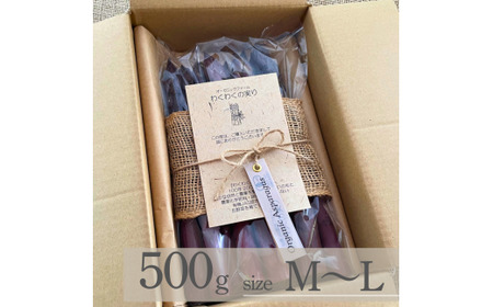 【先行予約】 訳あり オーガニック パープルアスパラガス  M～L 500g アスパラガス